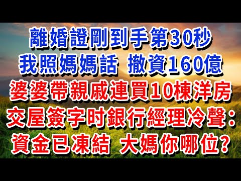 離婚證剛到手第30秒，我照媽媽話 撤資160億，婆婆帶亲戚連買10棟洋房，交屋簽字那刻銀行经理冷聲：資金已凍結！大媽你哪位？#書婷講故事 #為人處世#生活經驗#情感故事#晚年哲理#說故事#完結文