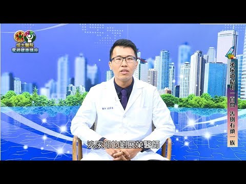 泌尿道結石一百問 告別石頭一族／ 泌尿部劉展榮醫師