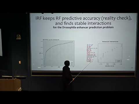 Bin Yu — Understanding Deep Learning Models via Interaction Importance (Sept. 25, 2025)