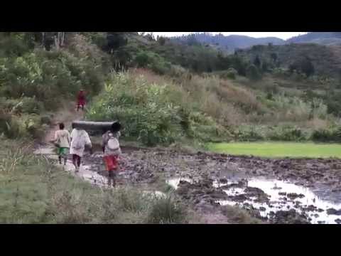 MADAGASCAR BRÛLE-T-ELLE ?