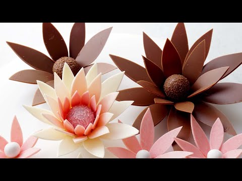 Chocolate cake flowers. Chocolate decor.