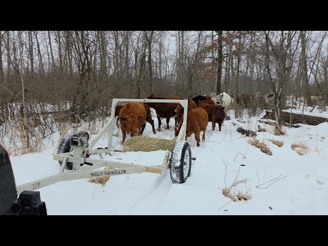 Adapting to our diverse winter weather.