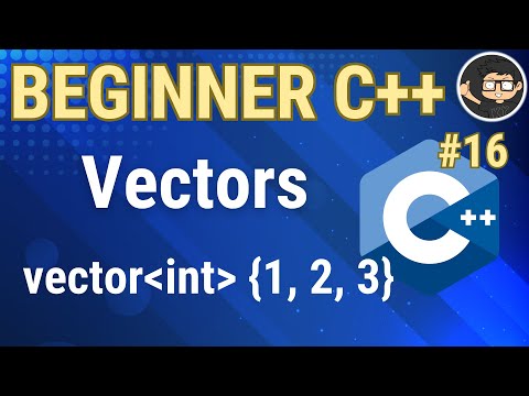 C++ Vectors and Dynamic Arrays
