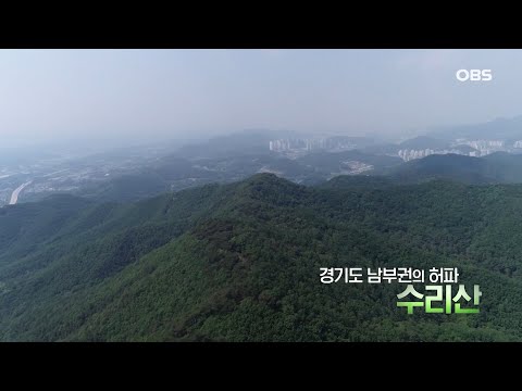 OBS  창사14주년기념 특집 자연다큐멘터리 '수리산'