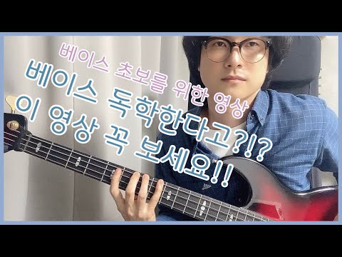 베이스를 독학 한다구여?!? 베이스 초보를 위한 영상 bass self study instrument self education