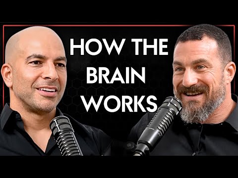 249 ‒ How the brain works, Andrew’s fascinating backstory, improving scientific literacy, and more