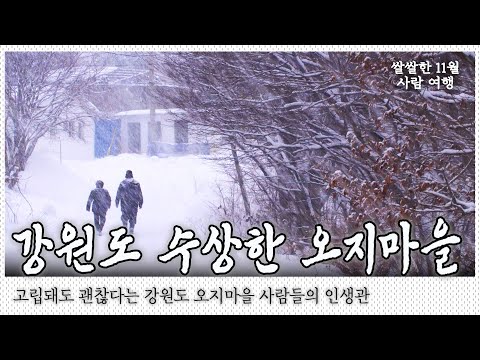 전 주민이 스키 자격증은 하나씩 갖고 있는 마을. 일 년의 절반이 겨울이라는 강원도 오지마을 사람들의 날씨만큼 쿨한 인생관 이야기｜[국내여행] KBS 20170208