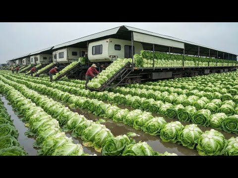 The 2025 Harvest Craze - The Modern Agriculture Machines Turning Farmer's into Millionaires