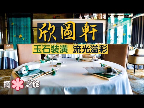 【摘星之旅⭐️】欣圖軒｜玉石裝潢 流光溢彩｜首間引入茶藝師的中菜廳｜Yan Toh Heen：2 Star Michelin Chinese Restaurant