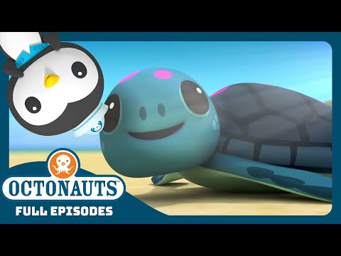 @Octonauts - 🏝️ The Baby Sea Turtles 🐢 | Season 4 Full Episodes | Cartoons for Kids