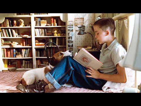 超治愈冷门高分电影，小狗用11年陪主人长大，直到上大学离开，才默默在床上去世！【光影】