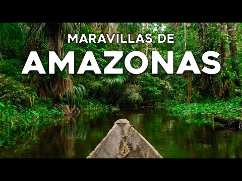 WONDERS OF THE AMAZONTravel Guide to the Green Lung of the Planet in 4K