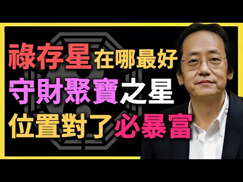 祿存星在哪最好？守財聚寶之星，位置對了必暴富！#紫微鬥數 #祿存星 #命理知識 #財運解析 #人生方向 #守財祕訣 #紫微命盤 #命理教學 #命理 #倪海廈