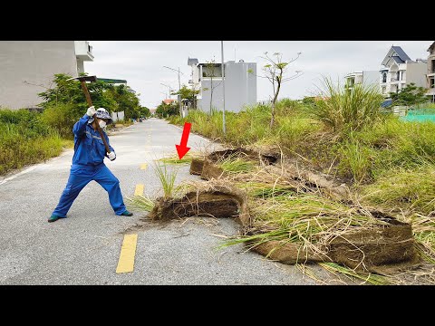 Neighborhood No One Dares to Clean Sidewalk Abandoned Because of Rumors that Poisonous Snakes Guard