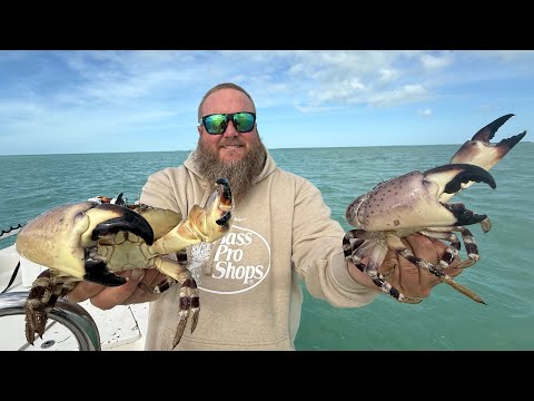 Crabs Worth $100s of Dollars! Florida Keys Stone Crab - Catch & Cook
