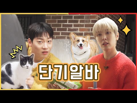 단기 알바로 고수익 가능? 아이돌의 초갓생 N잡 도전기 | 갓생갓생 EP.01