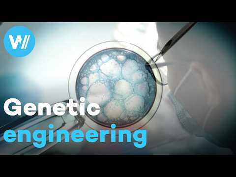 Soon a customized humanity? The CRISPR-Cas9 genetic revolution and its ethical issues