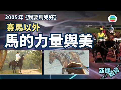 新聞掏寶｜愛賽馬還是愛馬？看見馬的力量與美｜香港歷史片段｜無綫新聞 TVB News