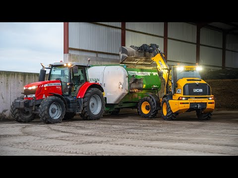 Lets feed 500 beef cattle at Drummond Farms