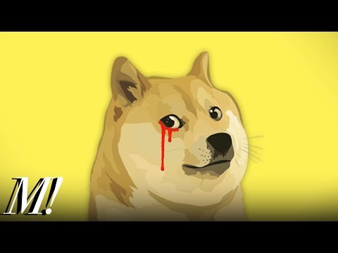 Dogecoin: The Danger that No One Talks About | Behavioral Finance Cryptocurrency Markets 2021