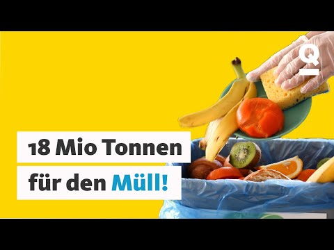 Lebensmittel für die Tonne: So viel Essen wird weggeschmissen | Quarks