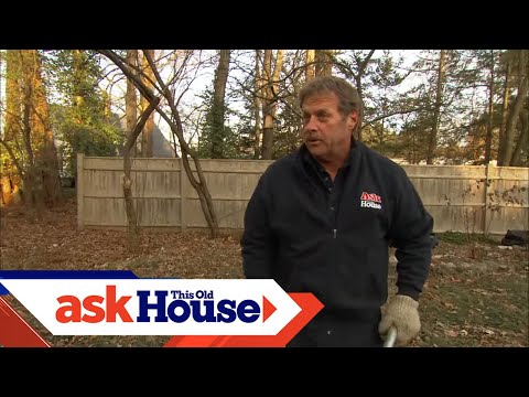 How to Remove Tree Stumps | Ask This Old House