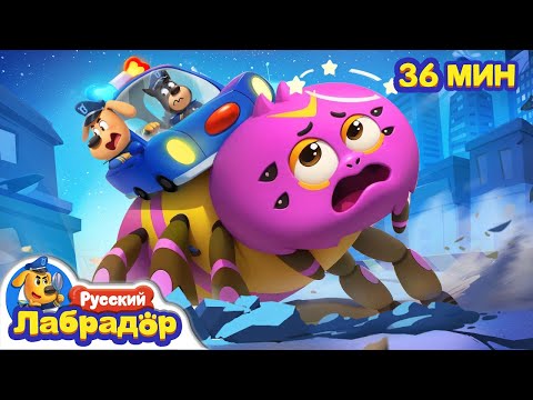 🕷️Очень большой паук | ⚠️Безопасность в жизни | 🔍Сборник мультиков для детей | Шериф Лабрадор