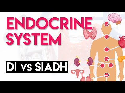 DI vs SIADH | Endocrine System (Part 5)