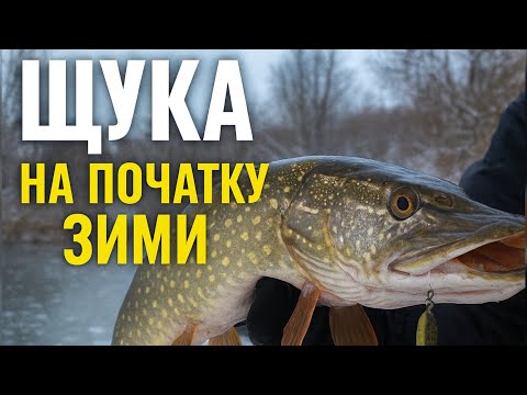 ЩУКА на ПРОХОДІ до ЗИМОВИХ ТОЧОК ❄️ рибалка на щуку в зимку з човна на воблери 