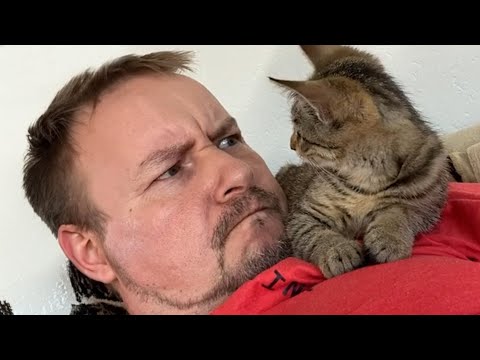 When Cats Start Imitating Their Owners in the Funniest Ways 😹🐾 30 Minutes of Laugh