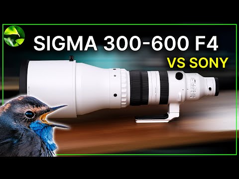 SIGMA 300-600 F4 vs Sony 600 F4 ❗️ Großer TEST