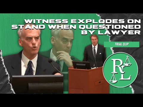 Depp's Lawyer SHREDS Amber Heard's Expert on Stand and He Throws a Fit