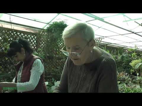 Посылка с растениями из Тайланда