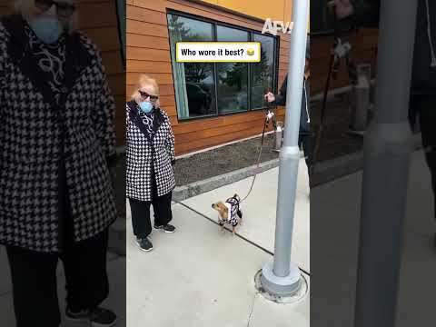 Who wore it best? 😂