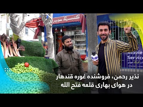 ندیر رحمن، فروشنده غوره قندهار در هوای بهاری قلعه فتح الله، کابل