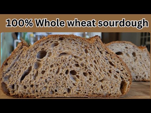 Whole Wheat sourdough bread|Open crumb|100% Whole Wheat