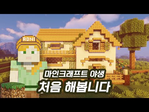 This is my first attempt at building a home in the wild.