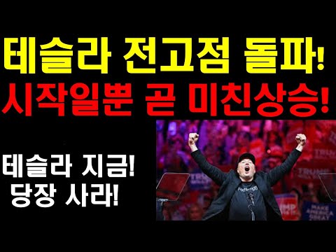 테슬라 전고점 돌파! 이제 시작일뿐 미친 상승 온다! 테슬라 1년후면 다시 2배가 뛴다! 테슬라 당장 사야 하는 이유! 산타랠리가 오는다! 엔비디아 팔란티어 날아간다