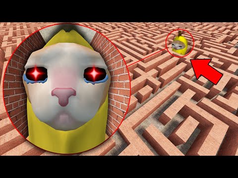 끔찍한 바나나캣 미로에 들어갔습니다 살려주세요..