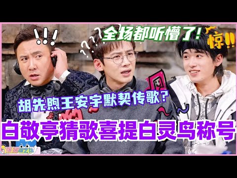 白敬亭猜歌传递喜提白灵鸟称号!胡先煦王安宇默契传歌全场听懵!#现在就出发 #现在就出发s2 #沈腾 #金晨 #综艺 #搞笑 #白敬亭 #王安宇