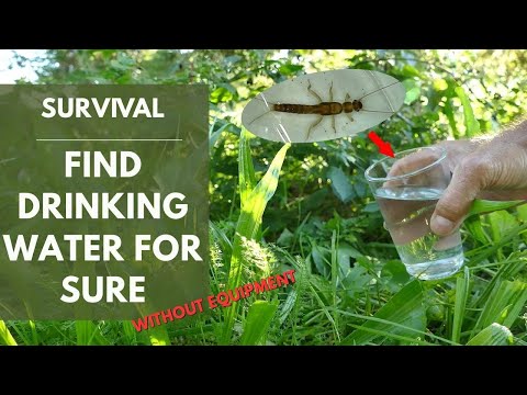 Find Drinking Water in the Wild Without Any Gear