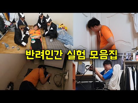 반려인간 실험 모음집