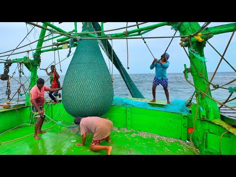 Ohh❗ Trawler Net Fishing 💢 Fishing Adventure 🤩 Full Video 