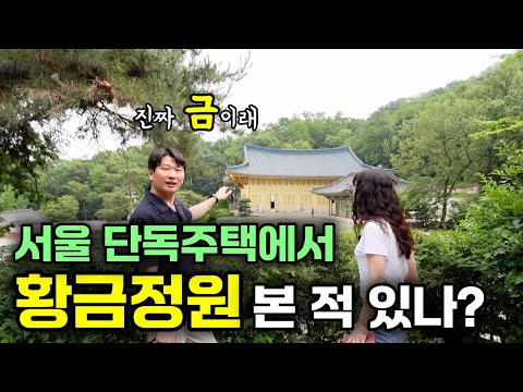 서울 은평구 단독주택 어디서도 볼 수 없었던 황금정원, 반전매력을 급처분