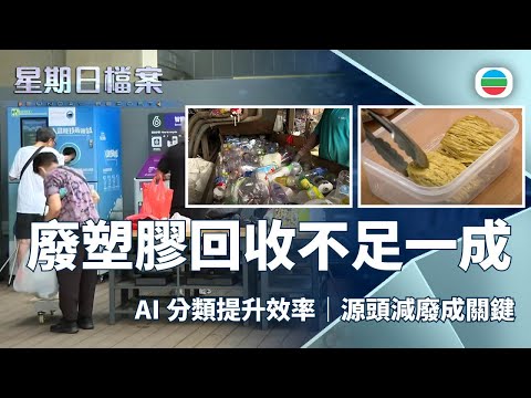 星期日檔案｜每日逾二千公噸廢膠　回收率不足一成｜無綫新聞 TVB News