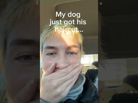 He’s still cute right?? 😂😭 #funny #dog