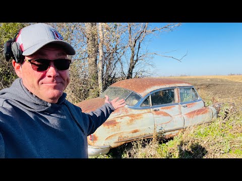 Dougo Discovery! Hidden Treasures in the Trees