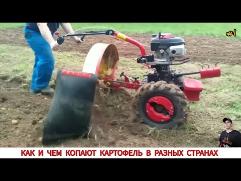 КАК КОПАЮТ КАРТОФЕЛЬ МОТОБЛОКОМ В РАЗНЫХ СТРАНАХ /HARVESTING POTATOES IN DIFFERENT COUNTRIES
