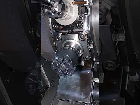 Beast HORN Tool Build