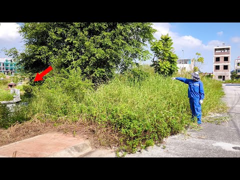 A Cemetery is Not Scary as An Abandoned Sidewalk Overgrown Weeds and Many Hidden Dangers